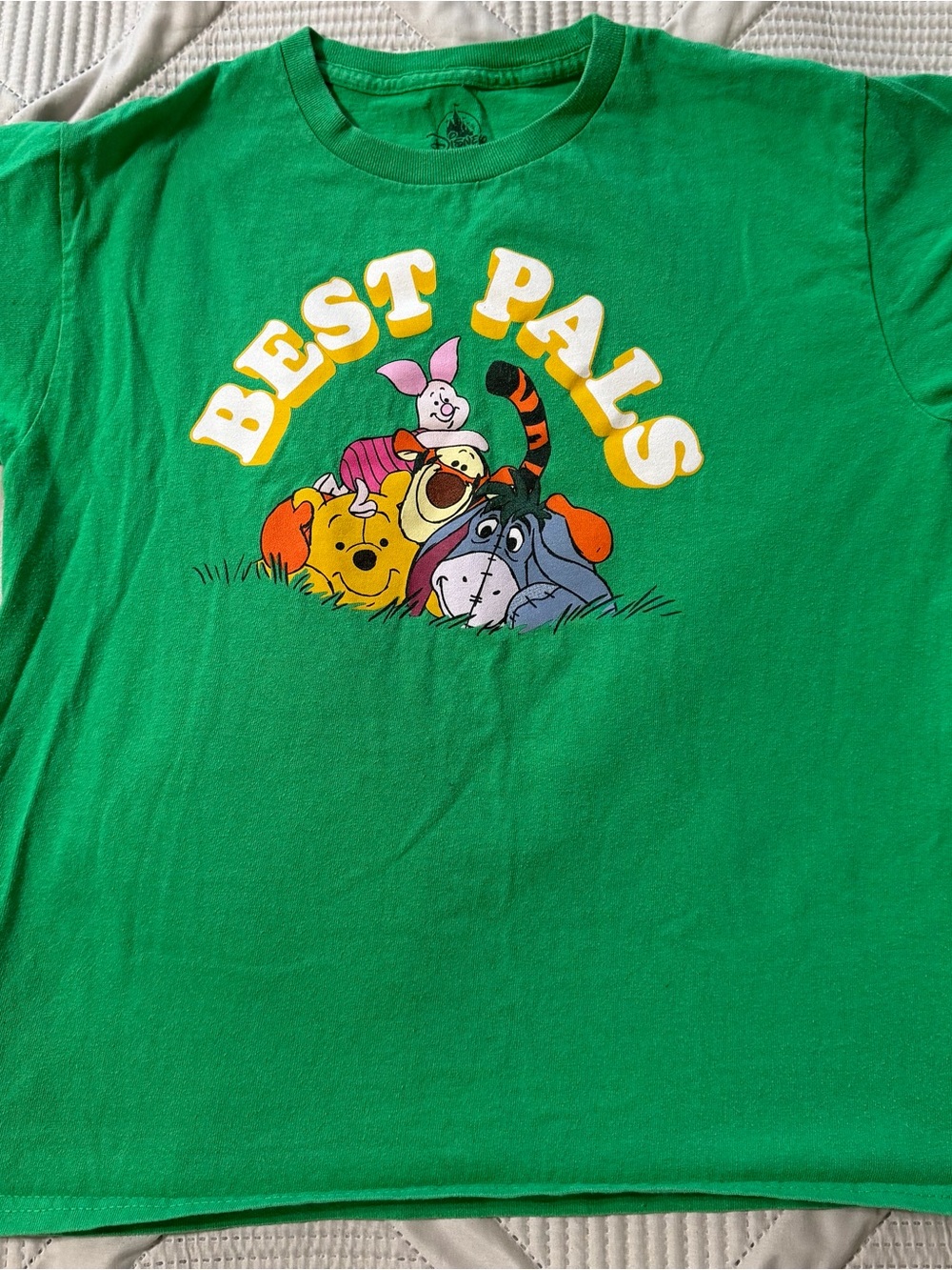 Disney Green "Best Pals" Winnie the Pooh & Friends Tee